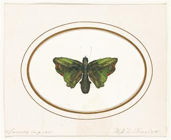Bierstadt, Eliza (1833-1896) One Mixed Media Miniature Painting; and Original Botanical Collage.